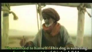 رحمة الاسلام بالحيوان عربي - مترجم انجليزي