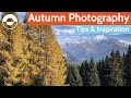 Autumn photography walk  capturing the fall season colour in your photos