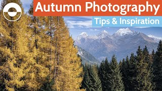 видео: Как сделать потрясающие осенние фотографии картинка: Как сделать потрясающие осенние фотографии