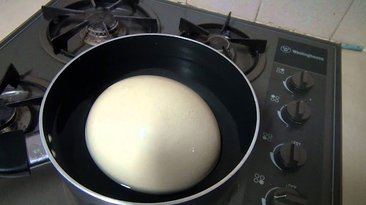 Boiling Ostrich egg