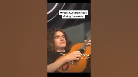 my last two brain cells during an exam #funny  #video #memes
