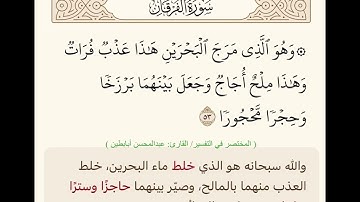 القارئ عبدالمحسن أبابطين@