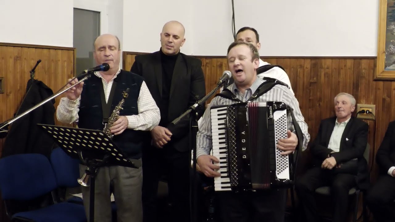 Frații Gusti Roman si Gabi Bărăian -Nu ești singur frate în durerea ta