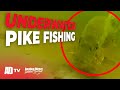 This Could Change Your Predator Fishing - Westin Explore Cam (UNDERWATER FOOTAGE)