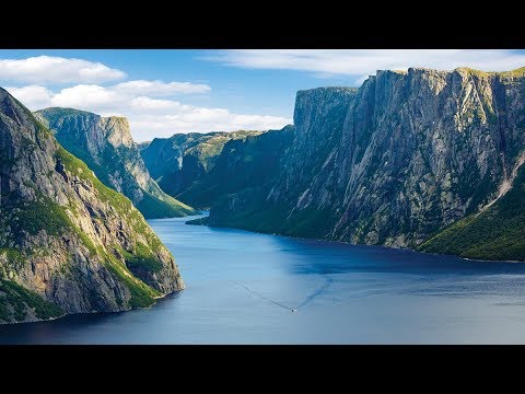 Video: Turistický Průvodce Po Národním Parku Gros Morne