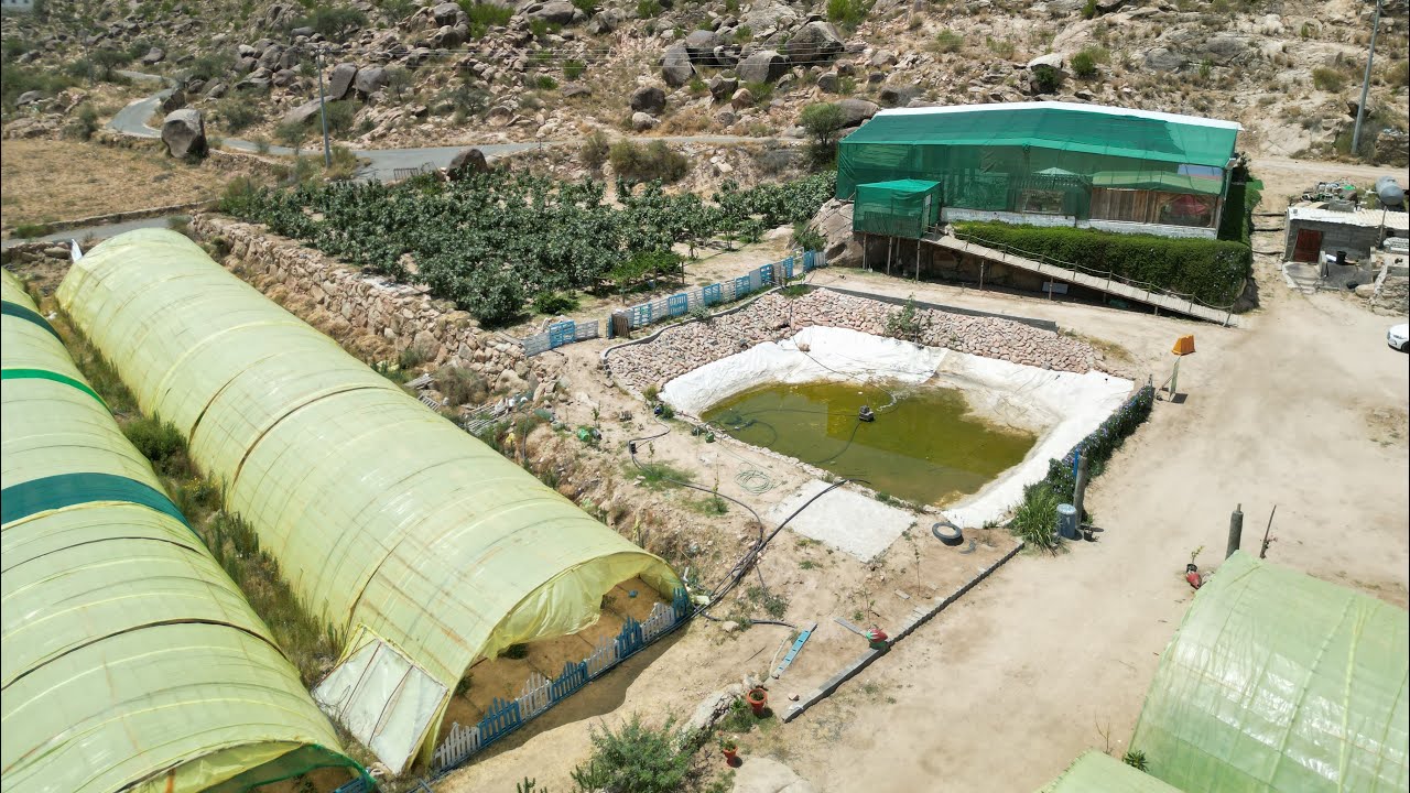 من تراث محافظتنا 