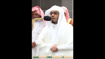 أولم يروا أنا نسوق الماء إلى الأرض الجرز فنخرج به زرعا~تلاوة خاشعة بصوت الشيخ ياسر الدوسري
