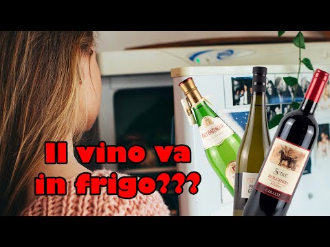 Video: Lo champagne va conservato in frigorifero?