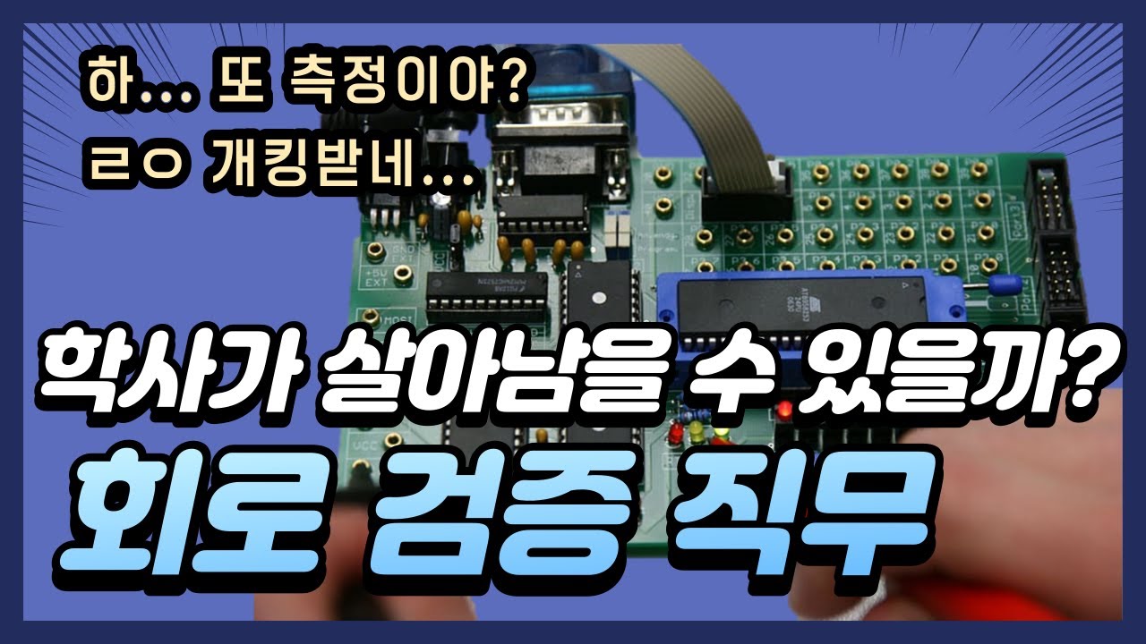 [회로설계 스토리] 학사는 입사해서 검증만 한다던데, 살아남을 수 있을까?