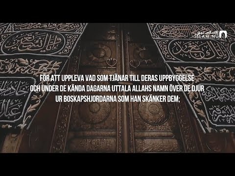 Surah Al-Hajj (26-31) - Raad Muhammad Al-Kurdi