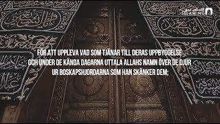 Download Lagu Surah Al-Hajj (26-31) - Raad Muhammad Al-Kurdi MP3