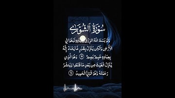 سورة الشورى | اللهم اجعل هذا العمل فى ميزان حسناتى #fyp #foryou #quran #ahmeidismail #foryoupage