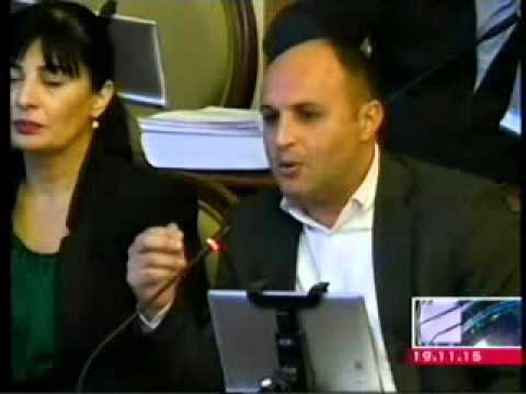 ირაკლი ნადირაძემ თბილისის 2016 წლის ბიუჯეტის ფარგლებში 1 მლ. ლარის რკინის ჯებირის ყიდვა გააპროტესტა