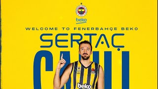 Sertaç Şanlı Fenerbahçe Bekoda