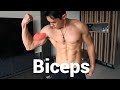 Get Bigger Biceps Size At Home Without Gym Join | Alphatrainingsan 