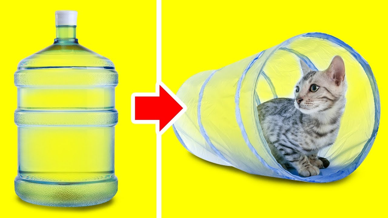 20 LOVELY DIY IDEAS FOR YOUR PETS