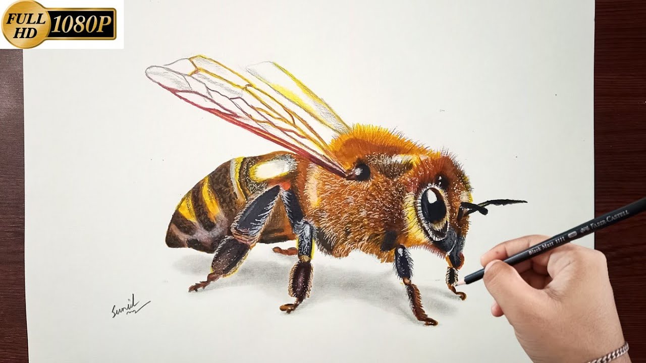 Ilustrasi Stok Cute Honey Bee Drawing Isolated 1382318411 | Shutterstock-saigonsouth.com.vn