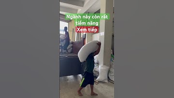 Nghề bốc xếp #nhuavietnam #nhuatungly #kinhdoanhsansuat #mayepnhua #recycle #machine #nhânvechaitv