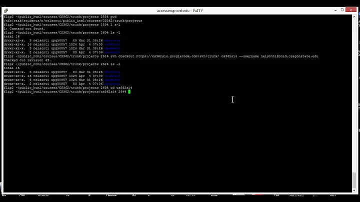 svn commit problem