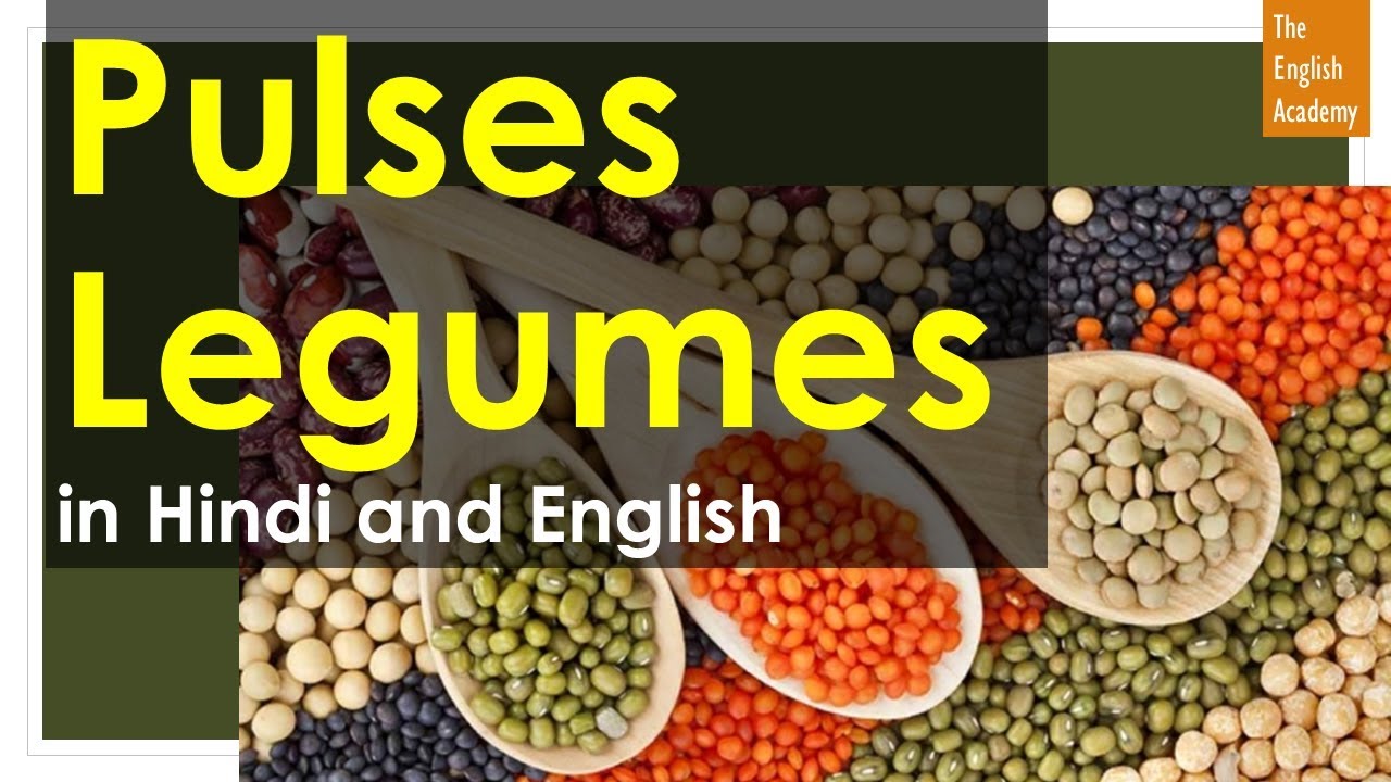 Pulses Names In English and legumes in Hindi दालों के