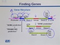 BIF733 Bioinformatics I (Essentials of Genome Informatics) Lecture No 117