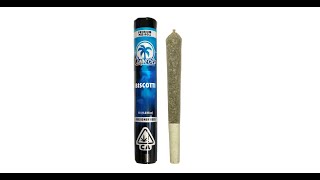 Biscotti Review Featuring Connected California and Valley Pure Farmersville