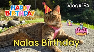 Download Lagu Vlog#194 Nalas 7th Birthday 🎁🎂❤️ MP3 Download Lagu Vlog#194 Nalas 7th Birthday 🎁🎂❤️ MP3