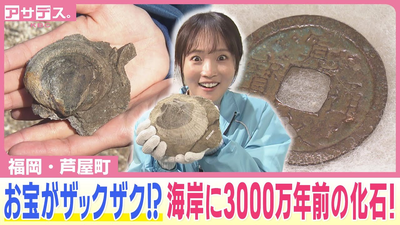 Ashiya Town] Treasures galore!? 30 million year old fossils found