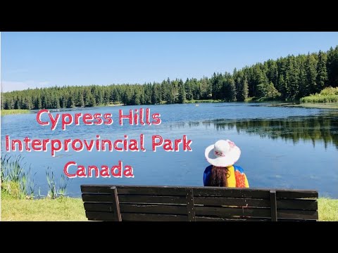 Видео: Мегалити на парка Cypress Hills в Канада - Алтернативен изглед