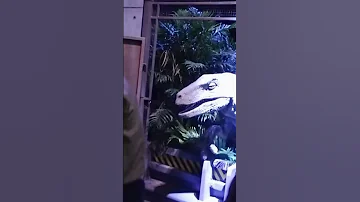 Jurassicworld Adventure 2025 Cloudforest Gardensbythebay Touristattraction 