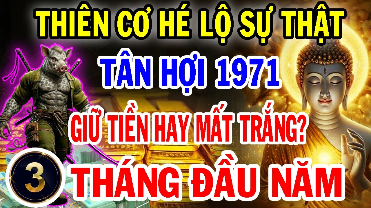 Tân Hợi 1971 Năm 2026: 56 Tuổi Âm, Đại Hạn Hay Đại Lộc? 3 Tháng Đầu Năm Quyết Định Cả Năm Tiền Bạc