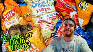 Dumpster Diving For Food Welcome To Maggot City!!!