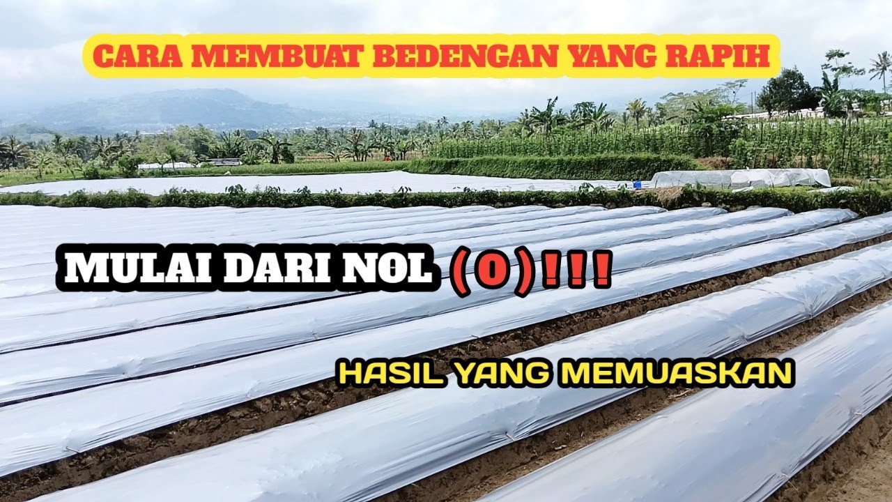 CARA PRAKTIS MEMBUAT BEDENGAN/GULUTAN LANGKAH PERTAMA SAMAPAI PENUTUPAN MULSA