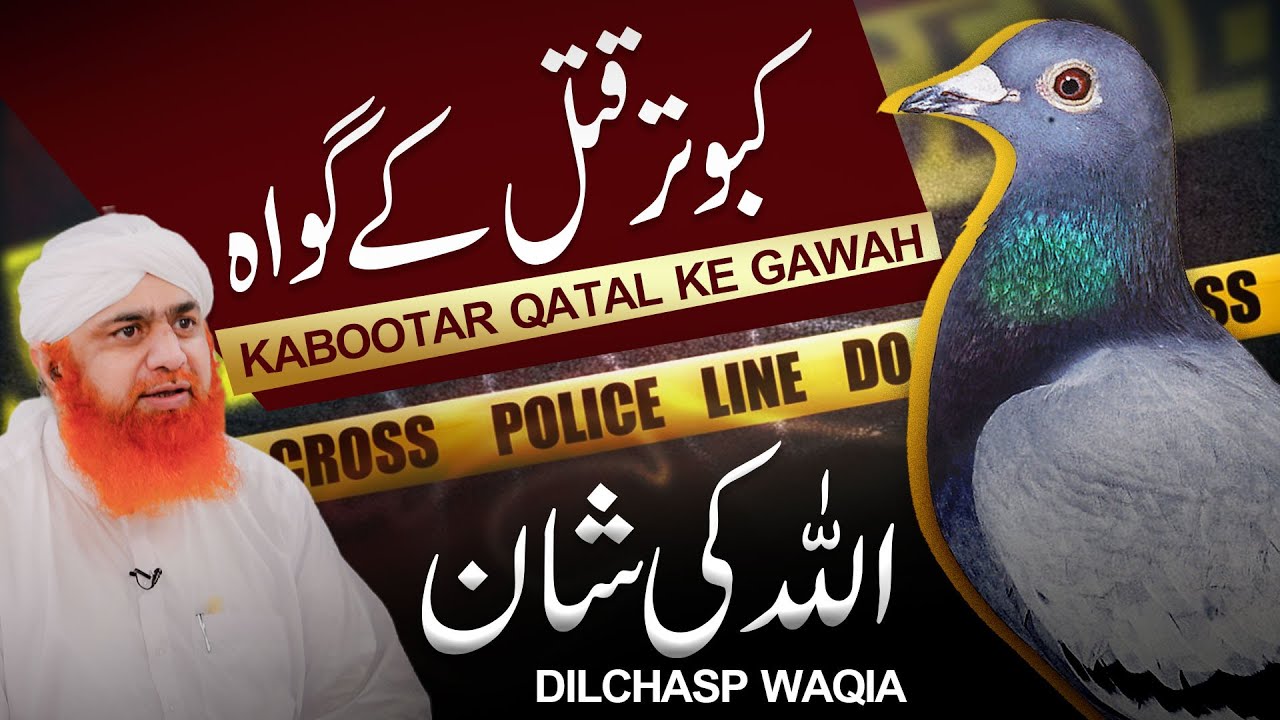Allah Ki Shan | Kabootar Qatal Ke Gawah | Murder Story By Maulana Imran Attari | Dilchasp Waqia