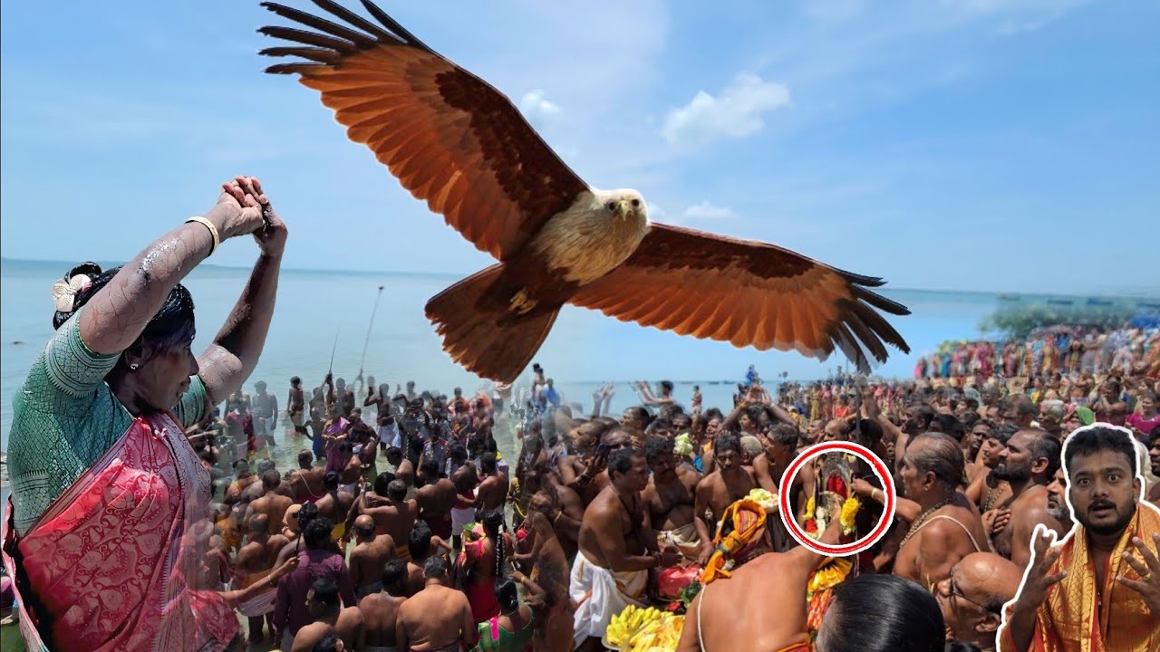 நயீனாதீவு கடலில் சற்றுமுன் மயங்கிய பக்தர்கள்- திடீரென நடந்த அற்புதம்!  புல்லரிக்கும் காட்சிகள்