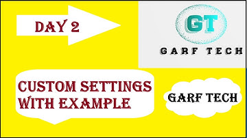 Custom Settings With Example
