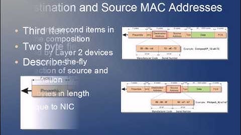 The Data Link Layer of the OSI Model (Layer 2)