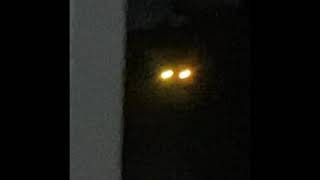 Hes Just Standing There Menacingly