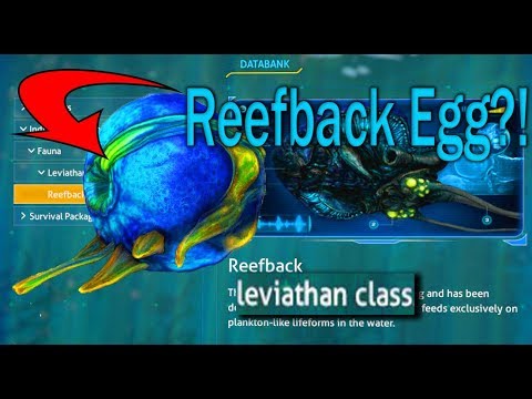 spawn commands subnautica eggs spawn commands subnautica eggs