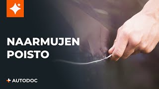 Huolto vinkit - PEUGEOT PARTNER Umpikori 1.6 HDi Takapyörän laakeri vaihto-opas