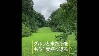 20220805  世田谷  砧公園  緑・緑・緑・コスモス ／ 後期高齢者  散歩・ウォーキング