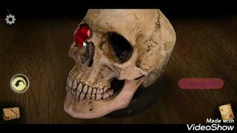 The Hunt for the Lost Ship: Walkthrough Chapter 1 Android