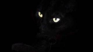 Video thumbnail of "The Essence - The Cat"