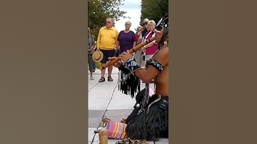 Thumbnail of The last of the Mohicans