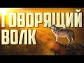 Говорящие животные и вещи | Признаки Судного Дня [51 признак] | Изд. "Голос Истины"