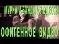 Бомба 2019   МУРКА И БАНДА ИЗ ОДЕССЫ  Такого ещё никто не видел!!!