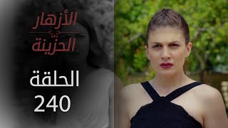 مسلسل الأزهار الحزينة | الحلقة 240 - الموسم الثاني