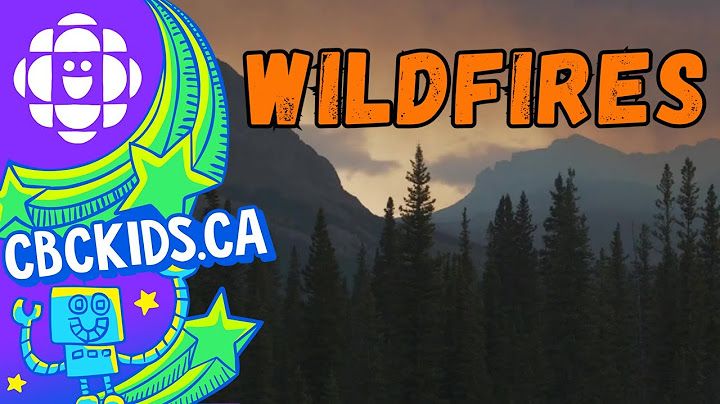 Let's Understand Forest Fires | CBC Kids