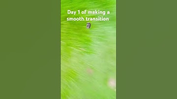 Day 1 of making a smooth transition#Short#Transition