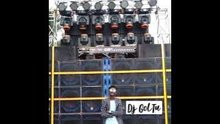 Dhger Taley( Feel The Raythm ) Dj GolTu Dj Aaradhya #DJsoFRaiGarh